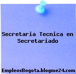 Secretaria Tecnica en Secretariado
