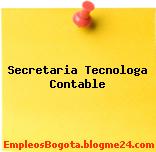 Secretaria Tecnologa Contable