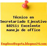 Técnico en Secretariado Ejecutivo &8211; Excelente manejo de office