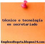 técnico o tecnología en secretariado