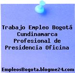 Trabajo Empleo Bogotá Cundinamarca Profesional de Presidencia Oficina
