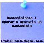 Mantenimiento : Operario Operario De Mantenimie