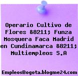 Operario Cultivo de Flores &8211; Funza Mosquera Faca Madrid en Cundinamarca &8211; Multiempleos S.A