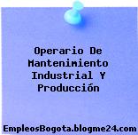 Operario De Mantenimiento Industrial Y Producción