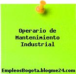 Operario de Mantenimiento Industrial