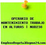 OPERARIO DE MANTENIMIENTO TRABAJO EN ALTURAS | NUD238