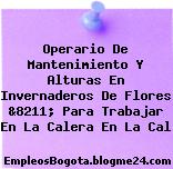 Operario De Mantenimiento Y Alturas En Invernaderos De Flores &8211; Para Trabajar En La Calera En La Cal