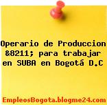 Operario de Produccion &8211; para trabajar en SUBA en Bogotá D.C