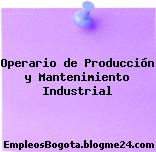 Operario de Producción y Mantenimiento Industrial