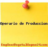 Operario de Produccion