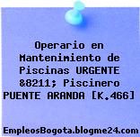 Operario en Mantenimiento de Piscinas URGENTE &8211; Piscinero PUENTE ARANDA [K.466]