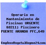 Operario en Mantenimiento de Piscinas URGENTE &8211; Piscinero PUENTE ARANDA PFC.649
