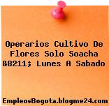 Operarios Cultivo De Flores Solo Soacha &8211; Lunes A Sabado
