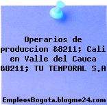 Operarios de produccion &8211; Cali en Valle del Cauca &8211; TU TEMPORAL S.A