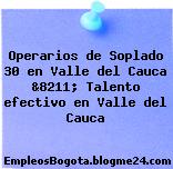 Operarios de Soplado 30 en Valle del Cauca &8211; Talento efectivo en Valle del Cauca