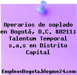 Operarios de soplado en Bogotá, D.C. &8211; Talentum Temporal s.a.s en Distrito Capital