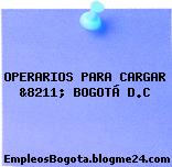 OPERARIOS PARA CARGAR &8211; BOGOTÁ D.C