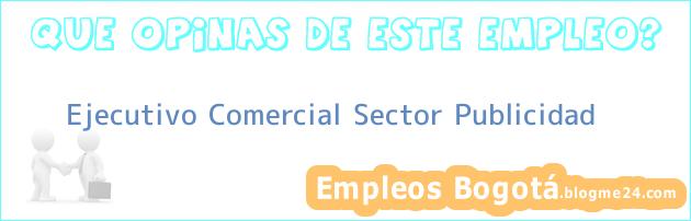 Ejecutivo Comercial Sector Publicidad