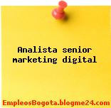 Analista senior marketing digital