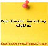 Coordinador marketing digital