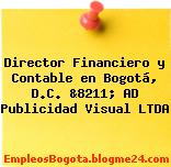 Director Financiero y Contable en Bogotá, D.C. &8211; AD Publicidad Visual LTDA