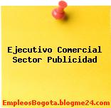 Ejecutivo Comercial Sector Publicidad