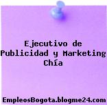 Ejecutivo de Publicidad y Marketing Chía