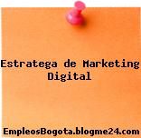 Estratega de Marketing Digital