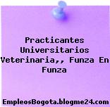 Practicantes Universitarios Veterinaria,, Funza En Funza
