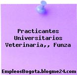 Practicantes Universitarios Veterinaria,, Funza