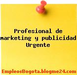Profesional de marketing y publicidad Urgente
