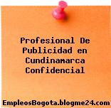 Profesional De Publicidad en Cundinamarca Confidencial