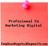 Profesional En Marketing Digital
