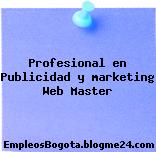 Profesional en Publicidad y marketing Web Master