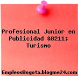 Profesional Junior en Publicidad &8211; Turismo