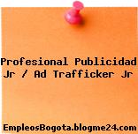 Profesional Publicidad Jr / Ad Trafficker Jr