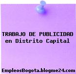 TRABAJO DE PUBLICIDAD en Distrito Capital