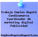 Trabajo Empleo Bogotá Cundinamarca Coordinador de marketing digital Publicidad