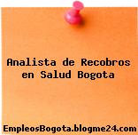 Analista de Recobros en Salud Bogota