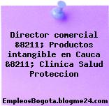 Director comercial &8211; Productos intangible en Cauca &8211; Clinica Salud Proteccion