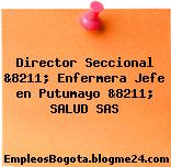 Director Seccional &8211; Enfermera Jefe en Putumayo &8211; SALUD SAS