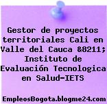 Gestor de proyectos territoriales Cali en Valle del Cauca &8211; Instituto de Evaluación Tecnologica en Salud-IETS