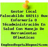 Gestor Local Palocabildo &8211; Aux Enfermería O Técadministración En Salud Con Manejo De Herramientas Ofimaticas