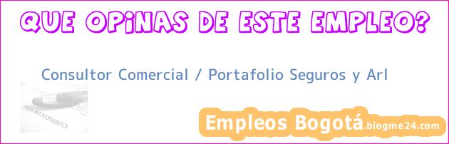 Consultor Comercial / Portafolio Seguros y Arl
