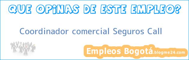 Coordinador comercial Seguros Call