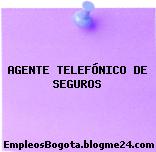 AGENTE TELEFÓNICO DE SEGUROS