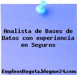 Analista de Bases de Datos con experiencia en Seguros