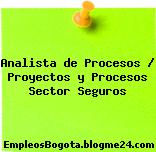 Analista de Procesos / Proyectos y Procesos Sector Seguros