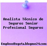 Analista Técnico de Seguros Senior Profesional Seguros