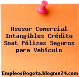 Asesor Comercial Intangibles Crédito Soat Pólizas Seguros para Vehículo